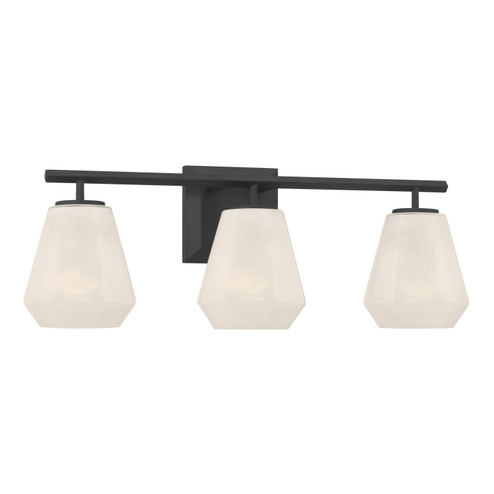Siena Three Light Vanity in Dark Matte Black (7|14373899)