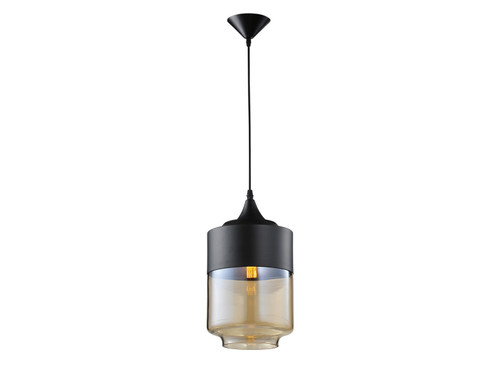 Robertson Blvd. One Light Pendant in Black (192|HF9114BKBZ)