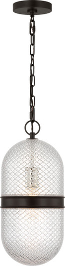 Lucinda One Light Pendant in Aged Iroged Iron (454|AP1291AI)
