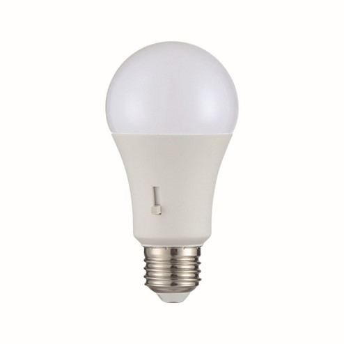 Light Bulb in Frost (51|LA1A19P9CE26D)