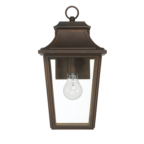 Spring Cove One Light Outdoor Wall Mount in Matte Bronze (47|46081)