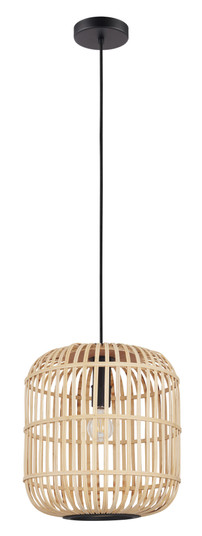 Bordesley One Light Pendant in Black (217|43216A)