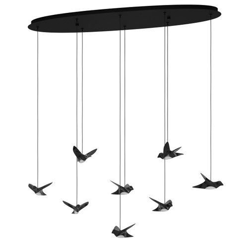 Paratebueno LED Pendant in Black (217|390055A)