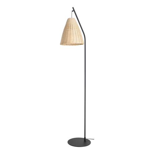 Bickley One Light Floor Lamp in Black (217|205785A)
