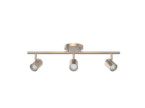 Pipe LED Fixed Rail in Brushed Nickel (34|TK260503CSBN)