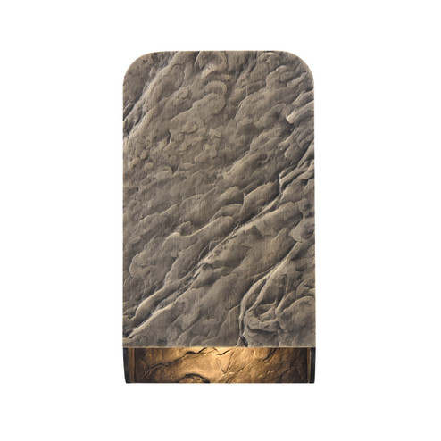 Stellis LED Outdoor Wall Sconce in Gray-Bronze (581|65010)