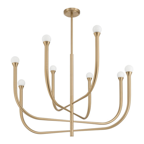 Dahlia Eight Light Chandelier in Brass (577|207257A)