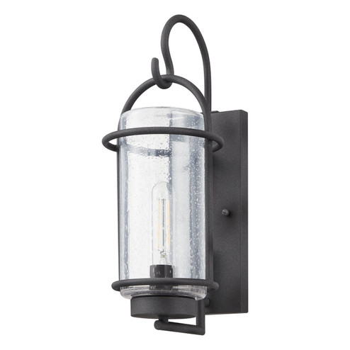 Taplow One Light Exterior Wall Sconce in Weathered Zinc (577|207076A)