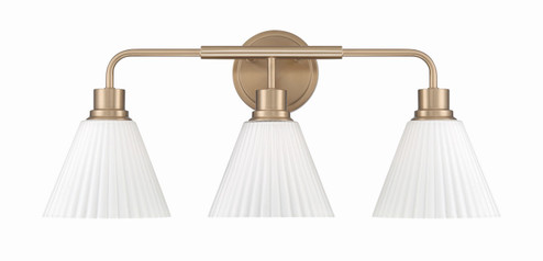 Pleated II Three Light Vanity in Premium Bronze (46|62303CPZ)