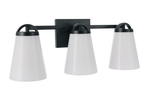 Zane Three Light Vanity in Flat Black (46|20723FB3)