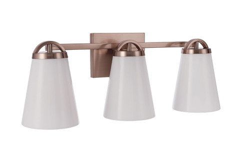 Zane Three Light Vanity in Premium Bronze (46|20723CPZ3)