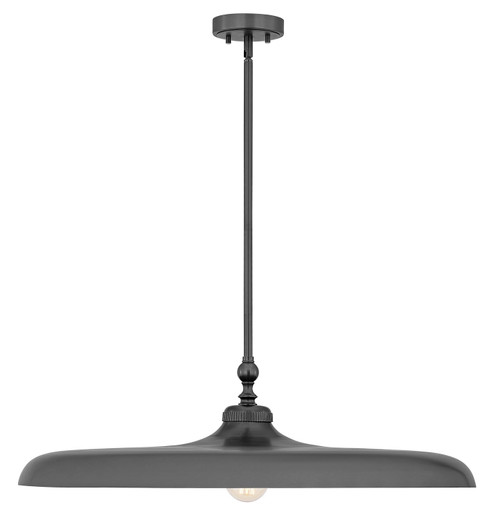 Camden One Light Pendant in Modern Bronze (224|2308P32MBZ)