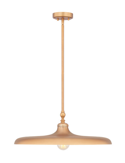 Camden One Light Pendant in Rubbed Brass (224|2308P24RB)