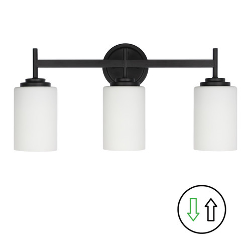 Wynona Three Light Vanity in Opal White (216|WYN223WMB)