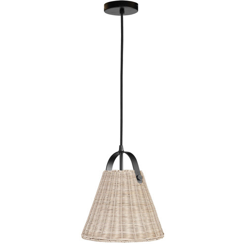 Shenandoah One Light Pendant in Natural (216|SND141PMB)