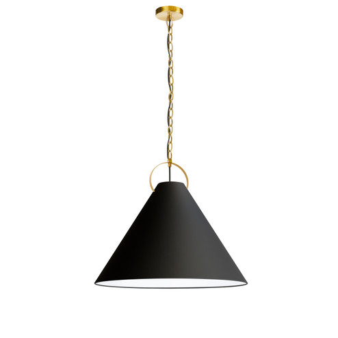 Princeton One Light Pendant in Black (216|PCN241PAGB797)