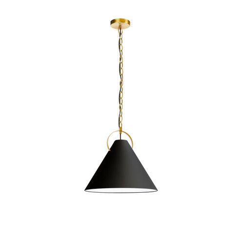 Princeton One Light Pendant in Black (216|PCN161PAGB797)