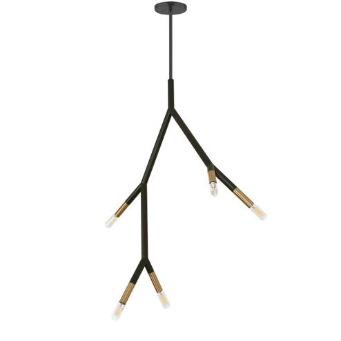 Morgan Five Light Pendant in Matte Black (216|MOR125PMBAGB)