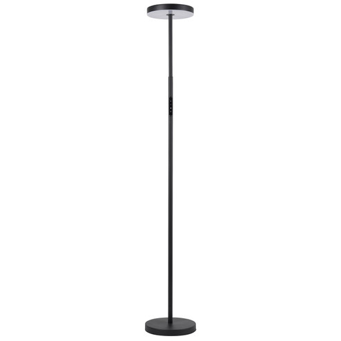 Francine LED Floor Lamp in Sandy Black (216|FCE5430LEDFSB)