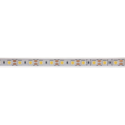 LED LED Tape Light in Clear (216|DLTOD3517)