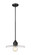 Paloma One Light Pendant in Matte Black (224|821P14MB)