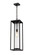 Dunbroch One Light Outdoor Chain Mount Ceiling Fixture in Black (224|584CHBBK)