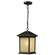 Holbrook One Light Outdoor Chain Mount Ceiling Fixture in Oil Rubbed Bronze (224|507CHMORB)