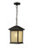 Holbrook One Light Outdoor Chain Mount in Oil Rubbed Bronze (224|507CHBORB)