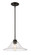 Annora One Light Pendant in Olde Bronze (224|428MP14OB)