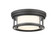 Willow Two Light Flush Mount in Bronze (224|426F12BRZ)