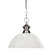 Shark One Light Pendant in Brushed Nickel (224|100701BNDWL14)