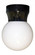 Pocket One Light Ceiling Mount in Black (301|421CBK)