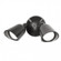 Endurance Double Spot LED Spot Light in Architectural Black (34|WPLED43030aBK)