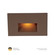 Led100 LED Step and Wall Light in Bronze on Brass (34|WLLED100AMBBR)