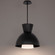 Carafe LED Pendant in Black (34|PD23316BK)