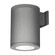 Tube Arch LED Wall Sconce in Graphite (34|DSWS08N27SGH)