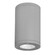 Tube Arch LED Flush Mount in Graphite (34|DSCD08S27GH)