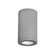 Tube Arch LED Flush Mount in Graphite (34|DSCD06S927GH)