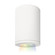 Tube Arch LED Flush Mount in White (34|DSCD05SCCWT)