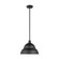 Barn Light One Light Outdoor Pendant in Black (454|6236701EN312)