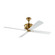 Subway 56 56``Ceiling Fan in Hand Rubbed Antique Brass (71|4SBWR56HAB)