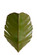 Banana Leaf Two Light Wall Sconce in Banana Leaf (137|901K02)