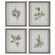 Wildflower Study Framed Prints, S/4 in Light Gray (52|41461)