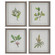 Wildflower Study Framed Prints, S/4 in Light Gray (52|41461)