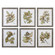 Seedlings Wall Art in Woodtones w/Gray Undertones (52|33643)