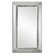 Lucanus Mirror in Aged Silver w/Rustic Brown (52|13880)