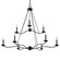 Sawyer Nine Light Chandelier in Forged Iron (67|F6309FOR)
