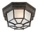 Exterior Collections One Light Flush Mount in Rustic Bronze (51|5206672)