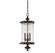 Palmer Three Light Hanging Lantern in Walnut Patina (51|5122240)