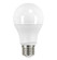 Light Bulb in Frost (230|S9594)